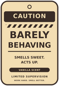 Barely Behaving Vanilla car air freshener artwork — Limited Supervision